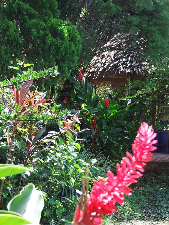 Cabana El Bien Germina Ya El Valle  Exterior foto